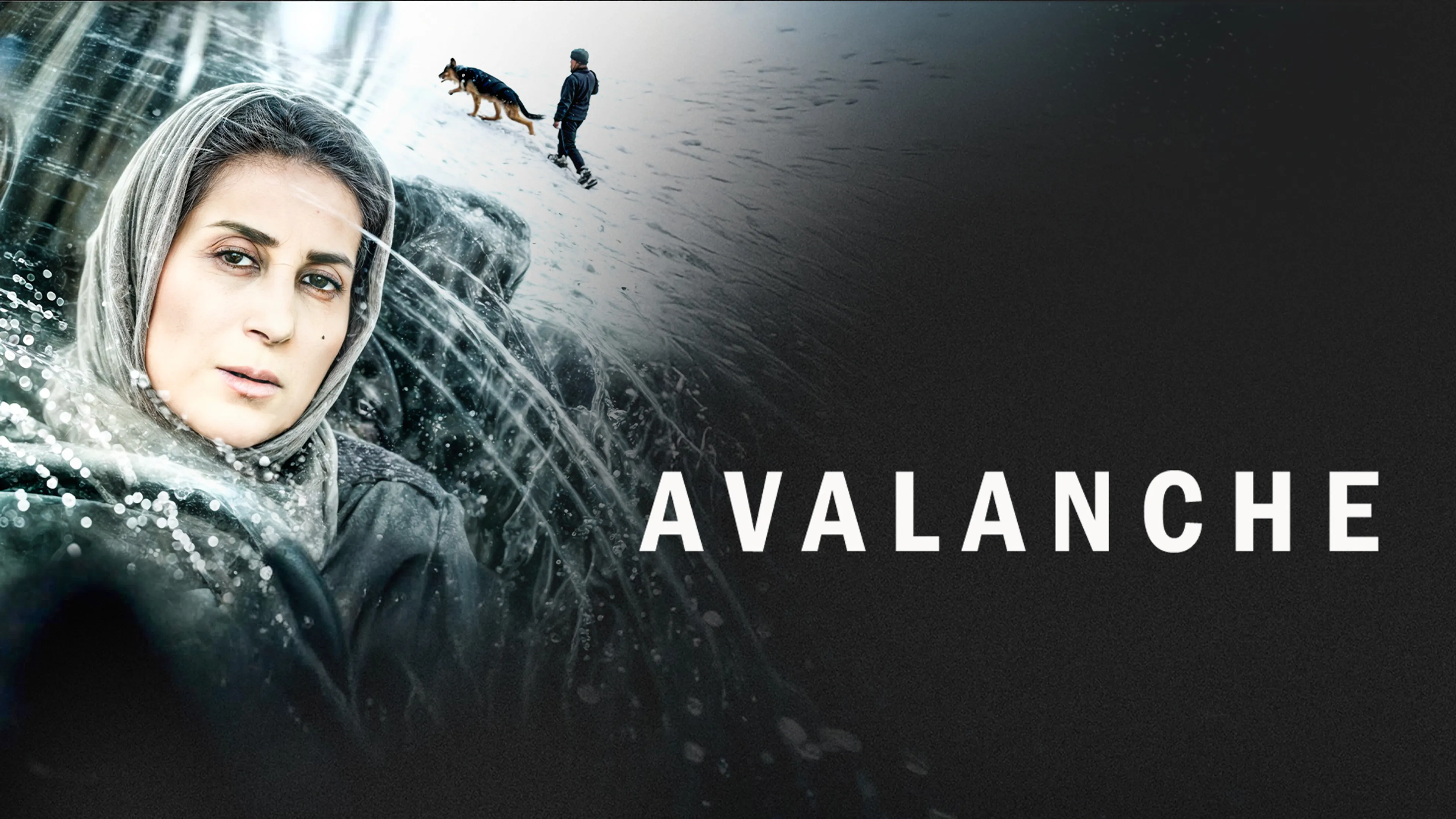 Avalanche poster